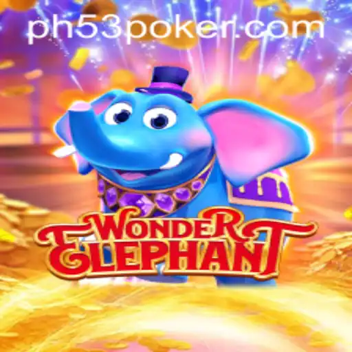 Discover the Magic of WonderElephant: Past, Present, and Play